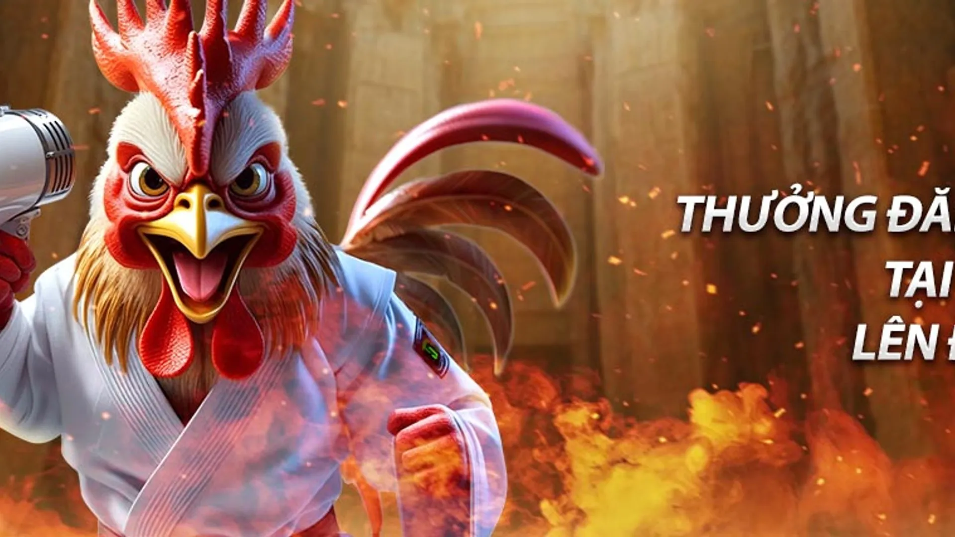 Hình ảnh quảng cáo khuyến mãi độc quyền RIKVIP